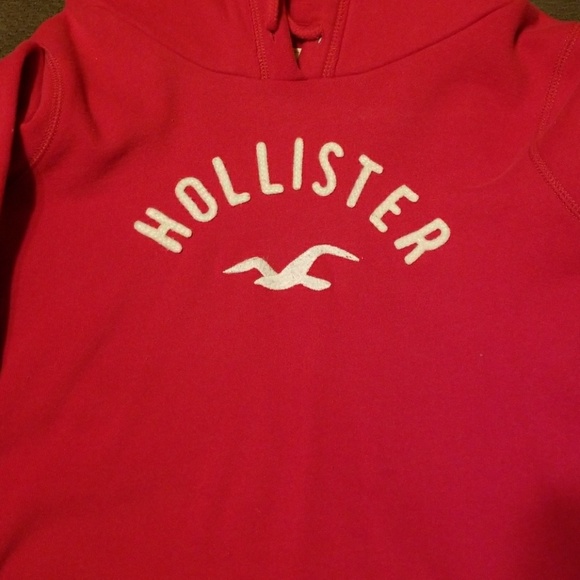 Hollister Logo  Hoodie - Picture 2 of 3